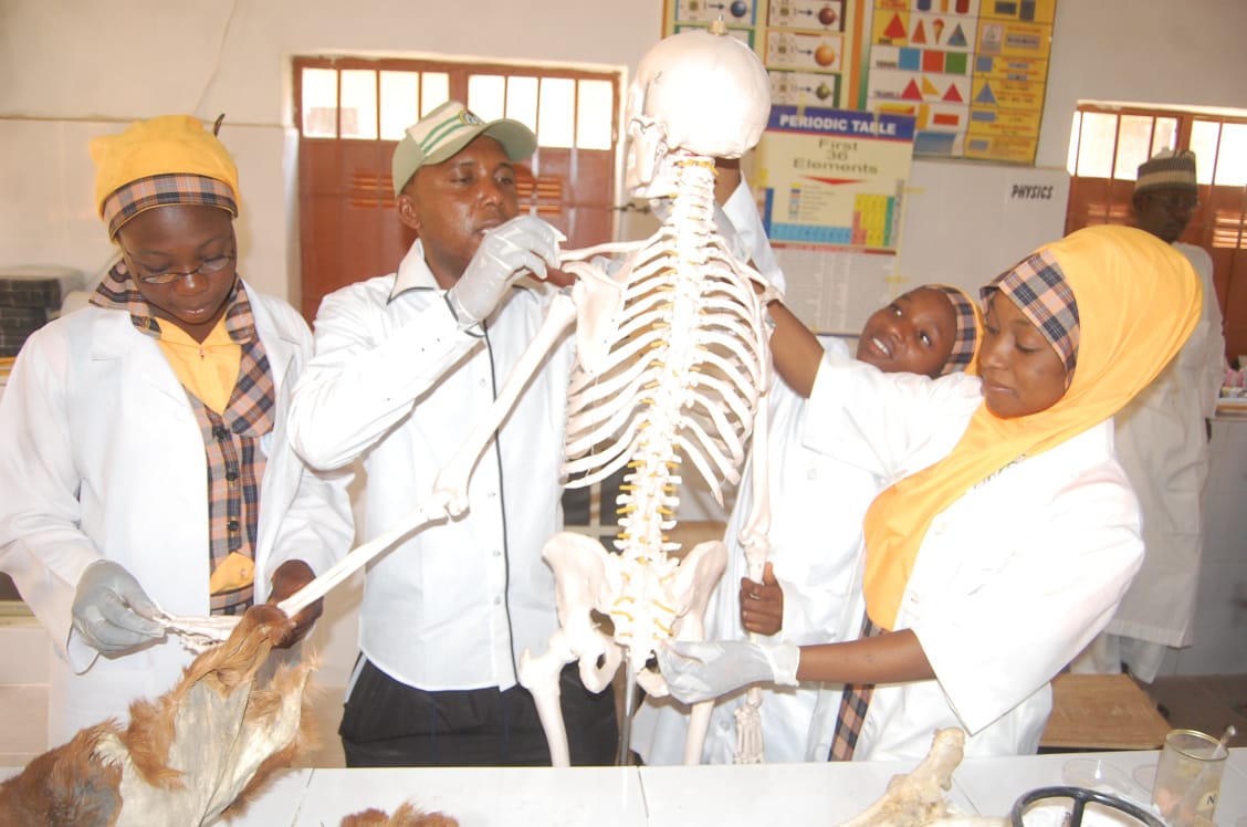 Reality Model School