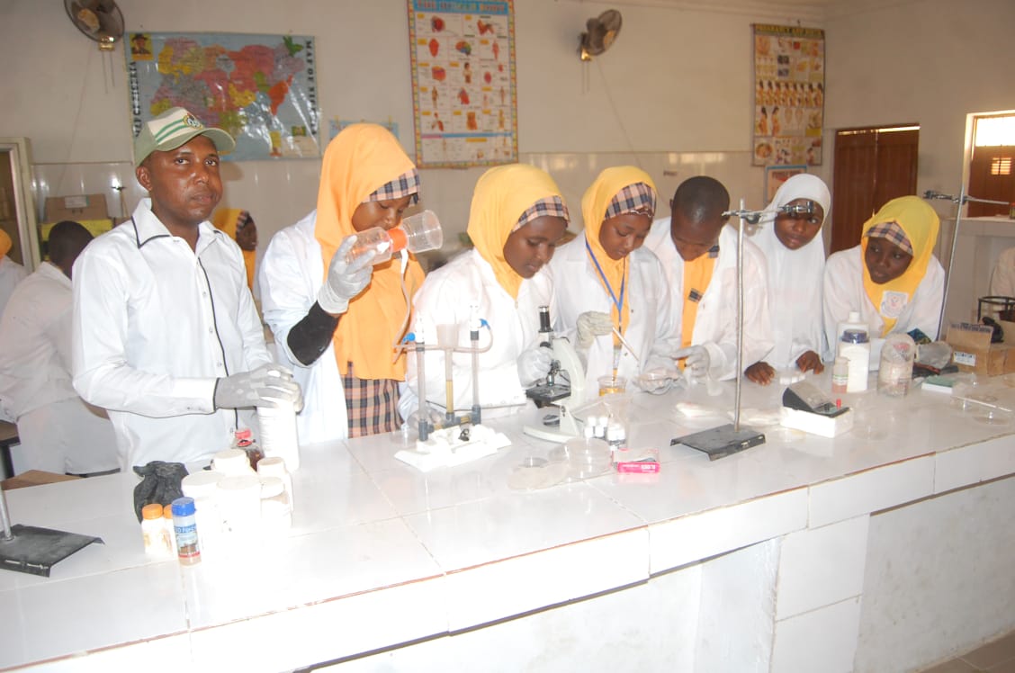 Reality Model School